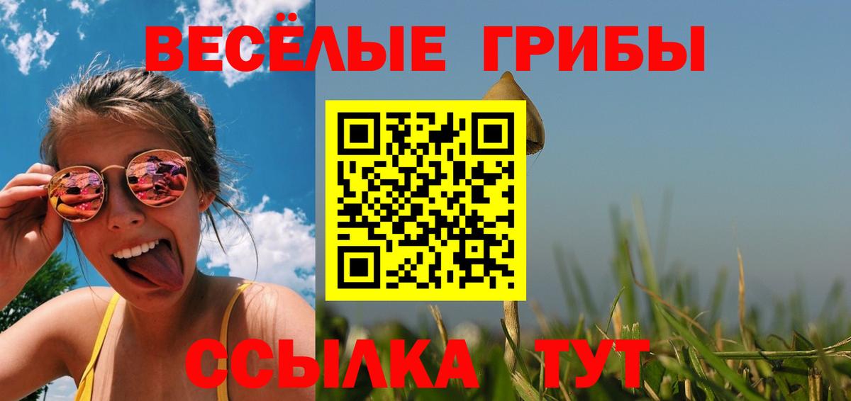 Псилоцибиновые грибы Psilocybe  Галлюциногенные грибы MAGIC MUSHROOMS  Вязники  Вход с VPN 